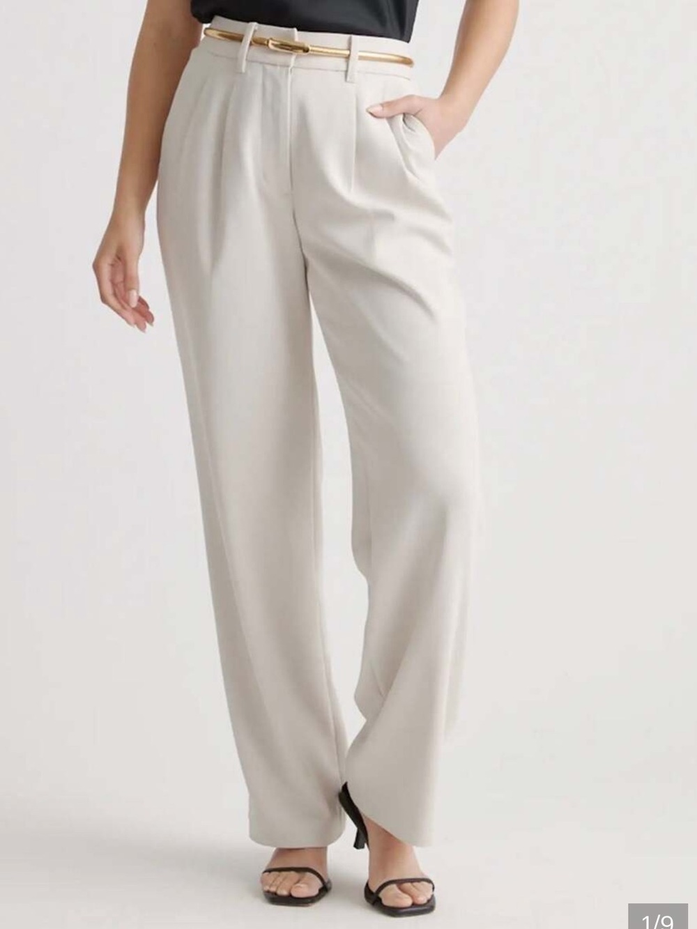 Quince Stretch Crepe Pleated Wide Leg Pants Beige Womens 6 High Rise Trouser